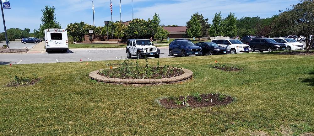 Native Plant Garden at VH